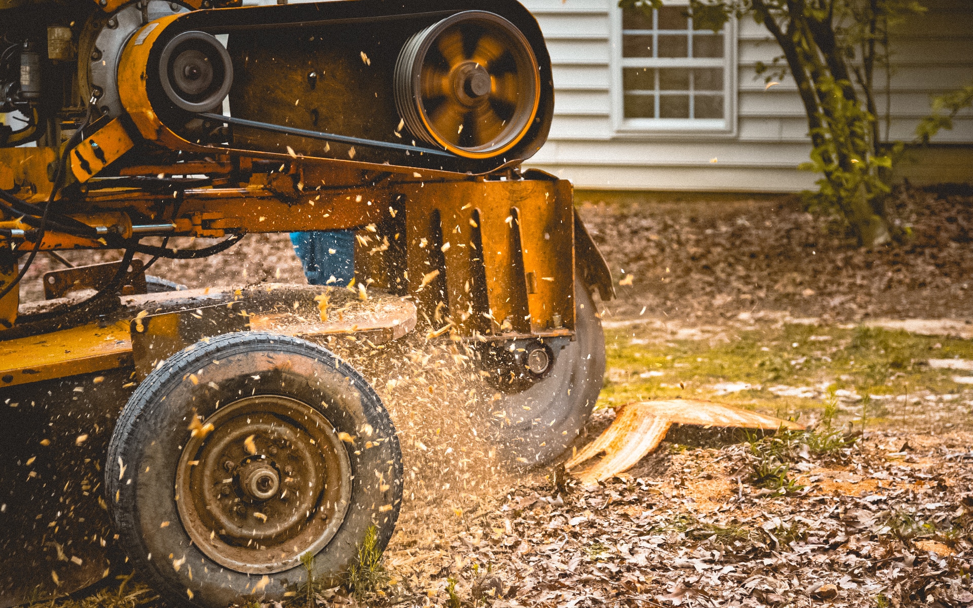 Tree Removal Methods Basic